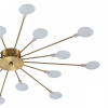 Фото Потолочная люстра Escada Starfall 2109/16 Copper