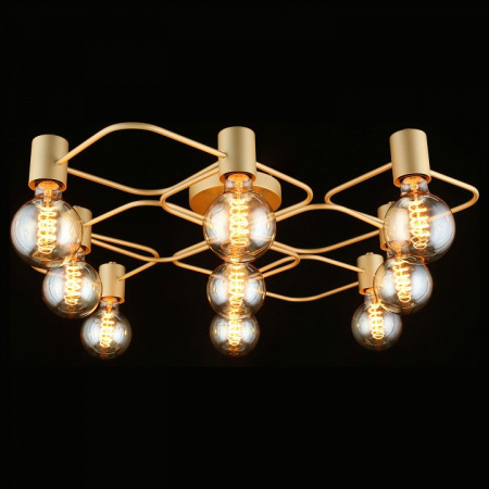 Фото Потолочная люстра Aployt Elison APL.911.07.09