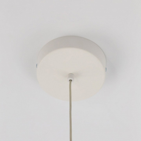 Фото Подвесной светильник Citilux Паркер CL225B110