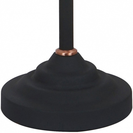 Фото Настольная лампа офисная Arte Lamp Braccio A2054LT-1BK