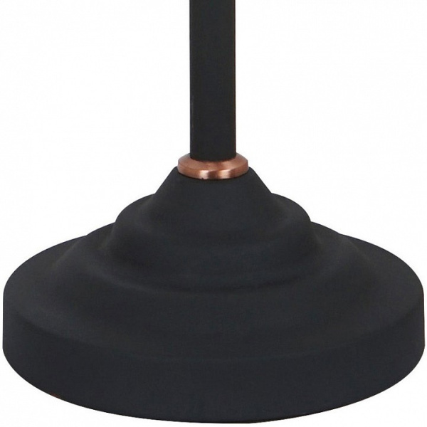 Фото Настольная лампа офисная Arte Lamp Braccio A2054LT-1BK