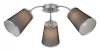 Потолочная люстра EVOLUCE Maleonte SLE103002-03 Потолочная люстра EVOLUCE Maleonte SLE103002-03