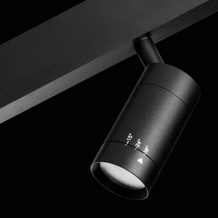 Фото Светильник на штанге Lightstar Teta 205017R