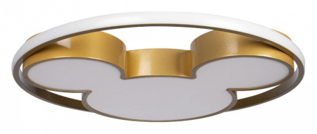 Фото Накладной светильник Loft it Mike 10168