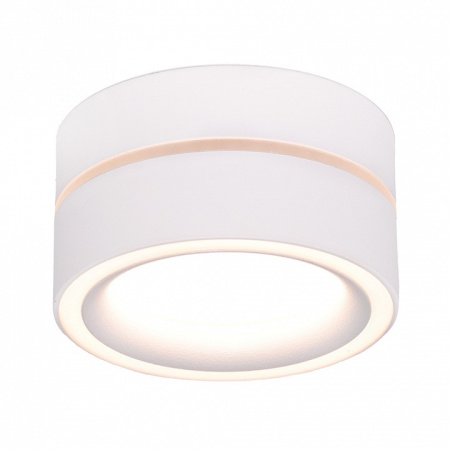 Фото Накладной светильник Feron HL455 48752