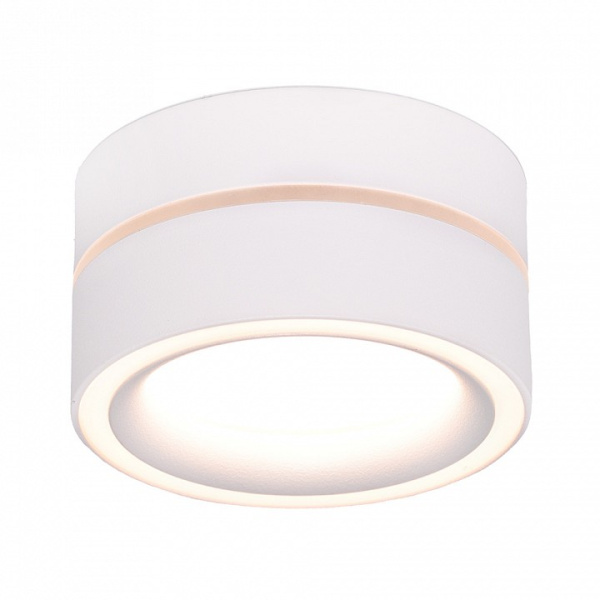 Фото Накладной светильник Feron HL455 48752