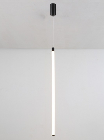 Фото Подвесной светильник Maytoni Ray P022PL-L20B3K