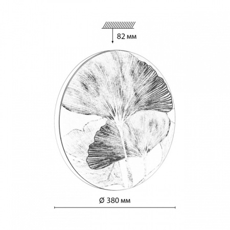 Открыть Накладной светильник Sonex Floren 7747/DL Фото Накладной светильник Sonex Floren 7747/DL