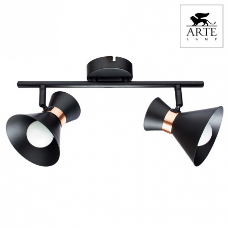 Открыть Спот Arte Lamp Baltimore A1406AP-2BK Фото Спот Arte Lamp Baltimore A1406AP-2BK