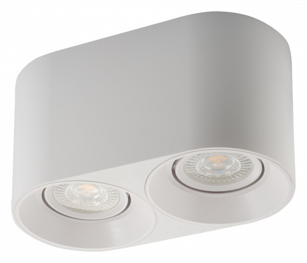 Фото Накладной светильник Denkirs DK3020WW DK3036-WH