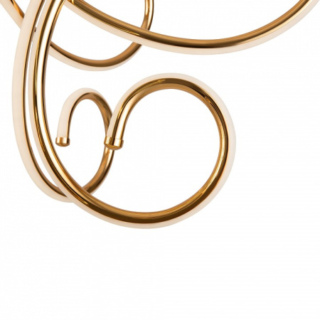 Фото Потолочная люстра Freya Crosby FR6044CL-L114G