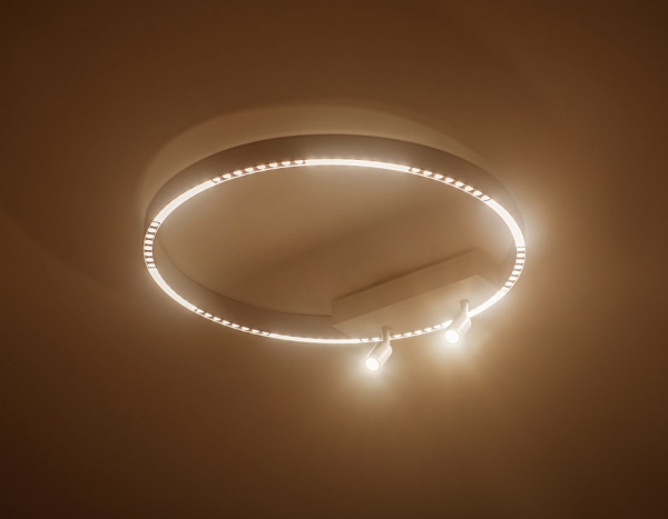 Фото Накладной светильник Ambrella Light FL FL5807