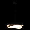 Фото Подвесной светильник Loft it Petale 10256P Black