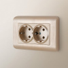 Фото Розетка двойная с заземлением, без рамки Werkel шампань рифленый W1172010