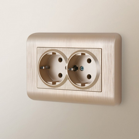 Фото Розетка двойная с заземлением, без рамки Werkel шампань рифленый W1172010