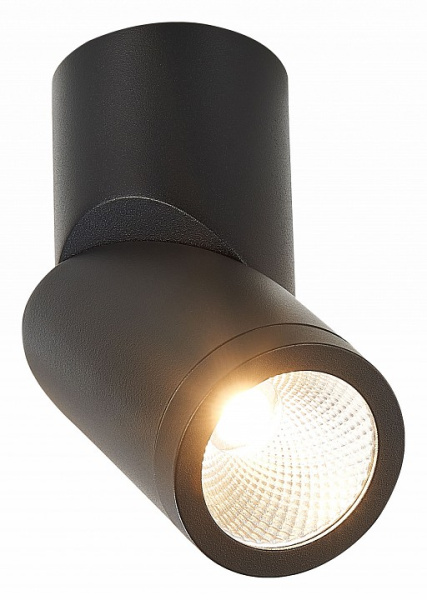 Открыть Светильник на штанге ST-Luce ST650 ST650.432.10 Фото Светильник на штанге ST-Luce ST650 ST650.432.10