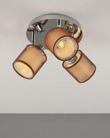 Фото Потолочная люстра Moderli Room V10627-3C