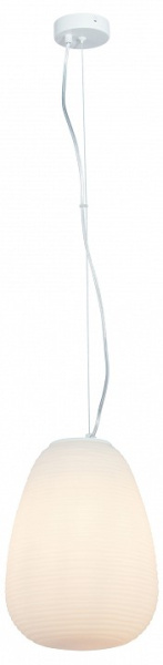 Фото Подвесной светильник Moderli Arden V11345-1P