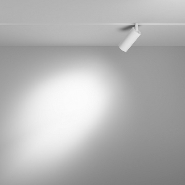 Фото Светильник на штанге Maytoni Focus LED TR032-4-5W3K-S-DS-W
