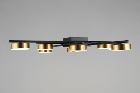 Фото Потолочная люстра Aployt Delayn APL.042.07.56