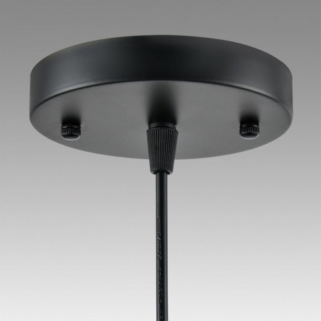 Фото Подвесной светильник Lumion Leonela 8052/1А