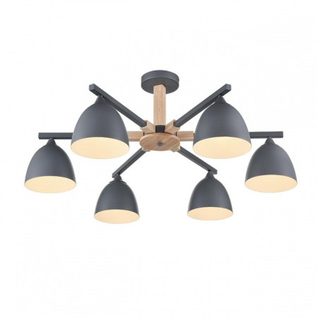 Фото Люстра на штанге Lumion Colange 8096/6C