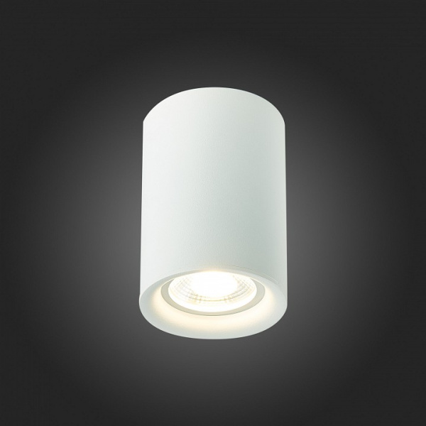 Фото Накладной светильник ST-Luce ST114 ST114.507.01