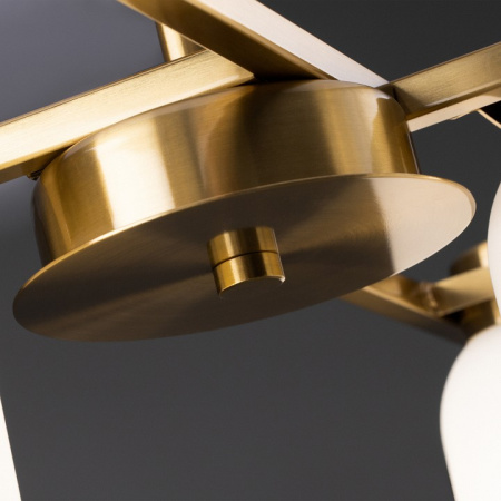 Фото Люстра на штанге Freya Kamelia FR5446PL-06BS