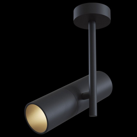 Фото Светильник на штанге Maytoni Elti C020CL-01B