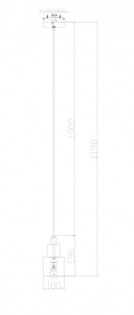 Фото Подвесной светильник Freya Moke FR4006PL-01BS