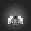 Открыть Подвесная люстра EVOLUCE Rammo SLE112403-05 Фото Подвесная люстра EVOLUCE Rammo SLE112403-05