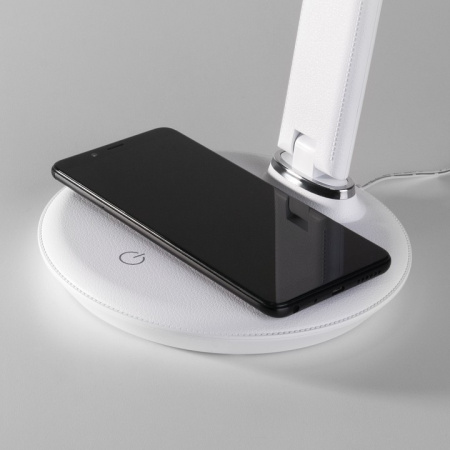 Фото Настольная лампа офисная Elektrostandard Brava a047272