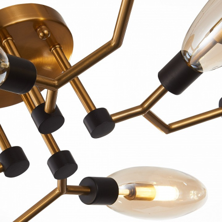 Фото Потолочная люстра ST-Luce Desima SL1174.302.08