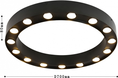 Фото Накладной светильник Favourite Attica 3007-15U