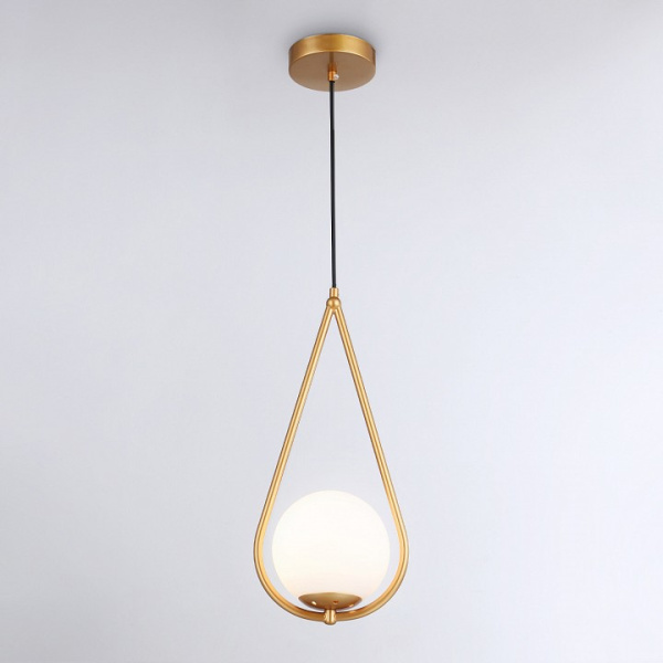 Фото Подвесной светильник Ambrella Light TR TR2599