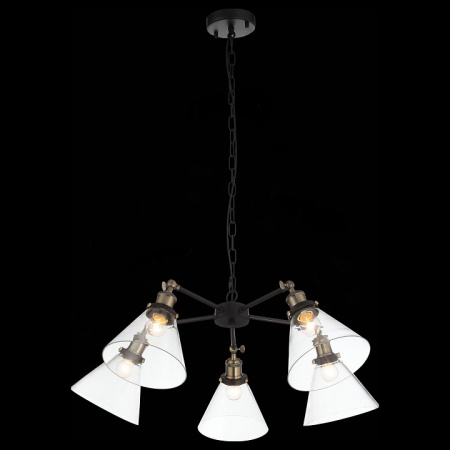 Фото Подвесная люстра ST-Luce Evoluto SL237.413.05