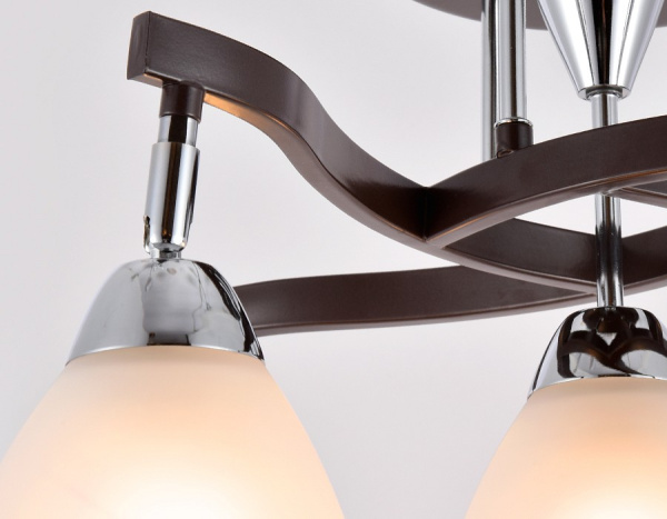 Фото Потолочная люстра Ambrella Light TR TR3113
