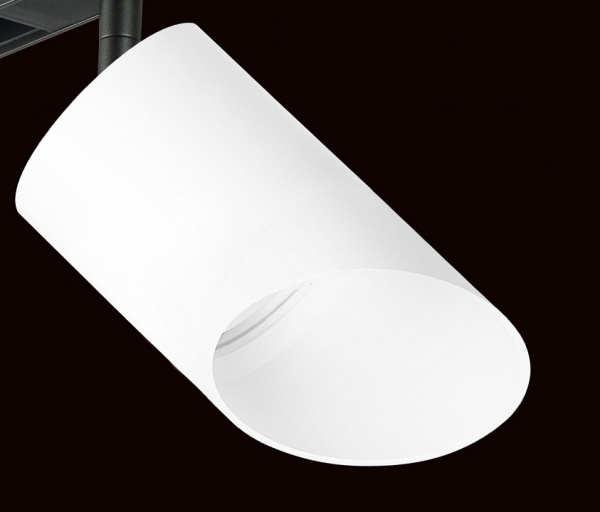 Фото Светильник на штанге Lightstar Rullo PRO348686