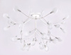 Открыть Потолочная люстра Ambrella Light TR TR3018 Фото Потолочная люстра Ambrella Light TR TR3018