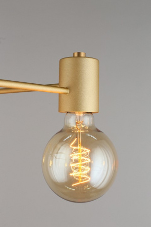 Фото Потолочная люстра Aployt Elison APL.911.07.05