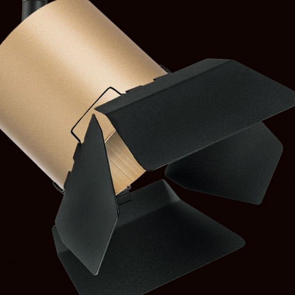 Фото Светильник на штанге Lightstar Rullo PRO3490487