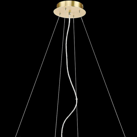 Фото Подвесная люстра Wertmark Daniela WE182.19.423