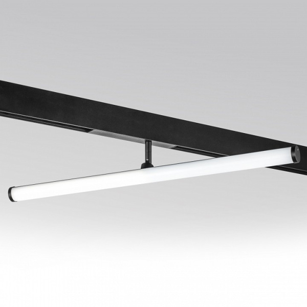 Фото Светильник на штанге Lightstar Teta 205607