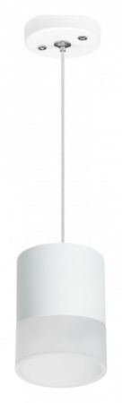 Фото Подвесной светильник Lightstar Rullo RP348681