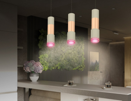 Открыть Подвесной светильник Ambrella Light XP XP7423061 Фото Подвесной светильник Ambrella Light XP XP7423061