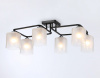 Открыть Накладной светильник Ambrella Light TR TR303224 Фото Накладной светильник Ambrella Light TR TR303224