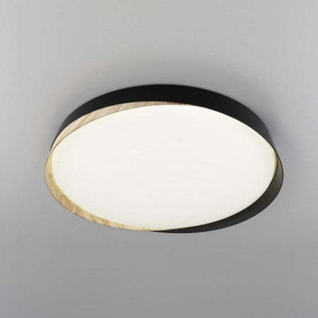 Фото Накладной светильник Citilux BONNY CL754451G