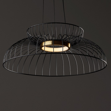 Фото Подвесной светильник Freya Citrus FR5398PL-L6B