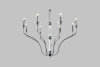 Фото Подвесная люстра Moderli Catania V10428-8P