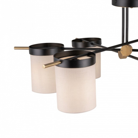 Фото Потолочная люстра Freya Bogy FR5377CL-06B